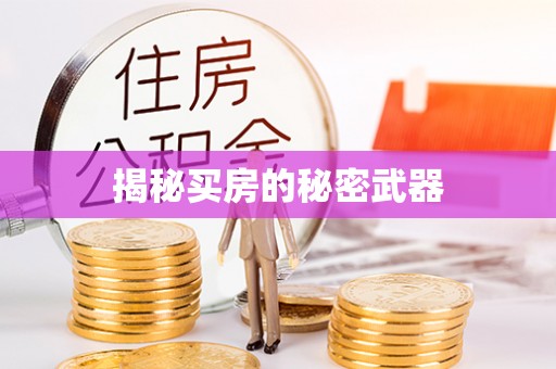 和静揭秘买房的秘密武器