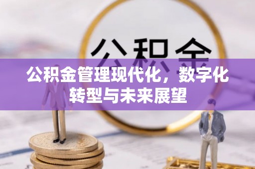 和静公积金管理现代化，数字化转型与未来展望