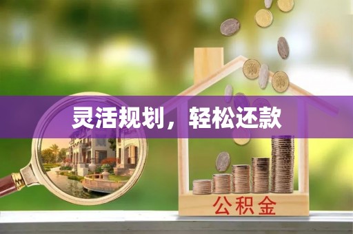 和静灵活规划，轻松还款
