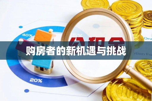 和静购房者的新机遇与挑战