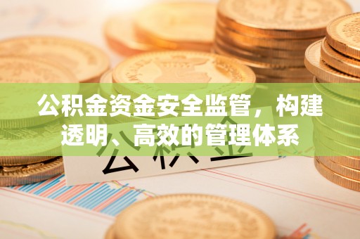 和静公积金资金安全监管，构建透明、高效的管理体系