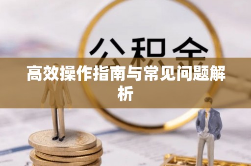 和静高效操作指南与常见问题解析
