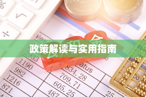 和静政策解读与实用指南