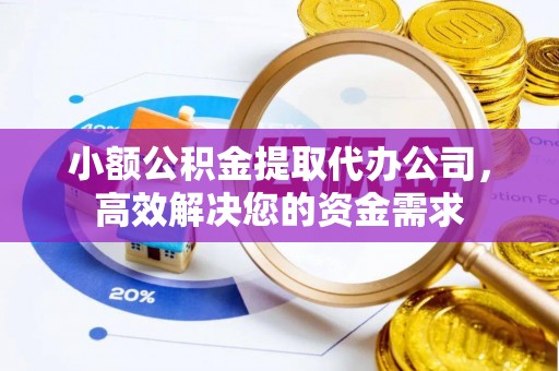 和静小额公积金提取代办公司，高效解决您的资金需求