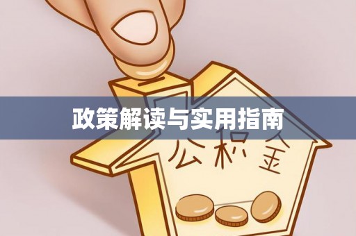 和静政策解读与实用指南