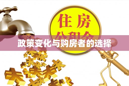 和静政策变化与购房者的选择