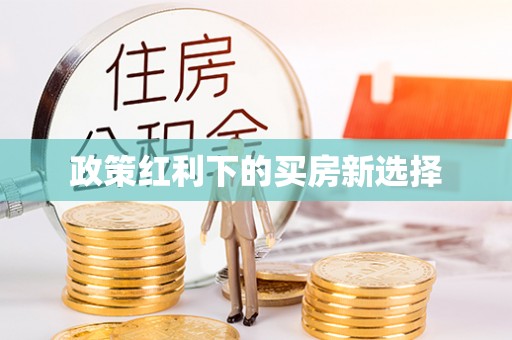 和静政策红利下的买房新选择