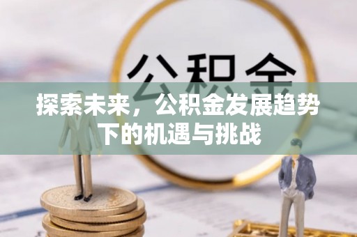 和静探索未来，公积金发展趋势下的机遇与挑战