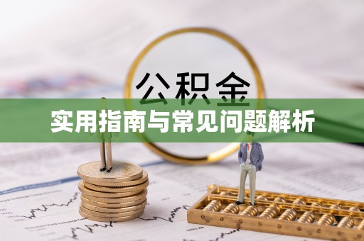 和静实用指南与常见问题解析
