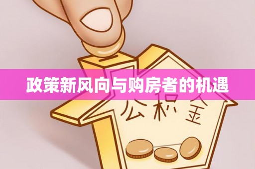 和静政策新风向与购房者的机遇