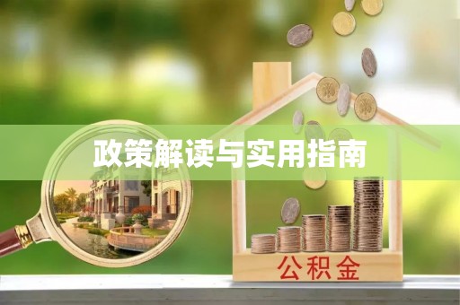 和静政策解读与实用指南