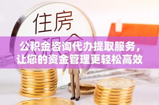 和静公积金咨询代办提取服务，让您的资金管理更轻松高效