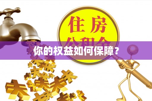 和静你的权益如何保障？