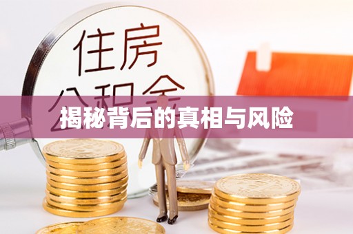 和静揭秘背后的真相与风险