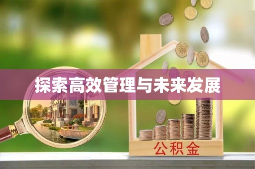和静探索高效管理与未来发展