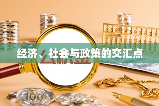 和静经济、社会与政策的交汇点