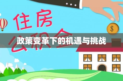 和静政策变革下的机遇与挑战