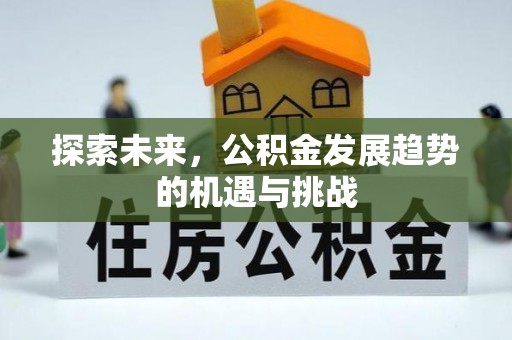 和静探索未来，公积金发展趋势的机遇与挑战
