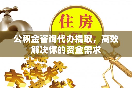 和静公积金咨询代办提取，高效解决你的资金需求