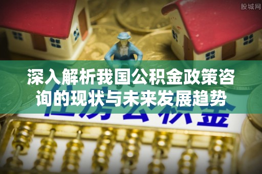 和静深入解析我国公积金政策咨询的现状与未来发展趋势