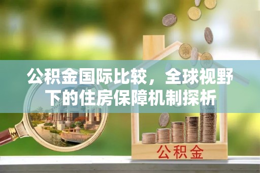 和静公积金国际比较，全球视野下的住房保障机制探析