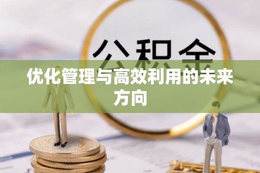 和静优化管理与高效利用的未来方向
