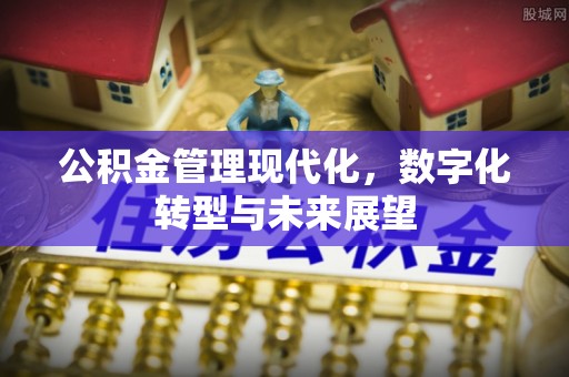 和静公积金管理现代化，数字化转型与未来展望