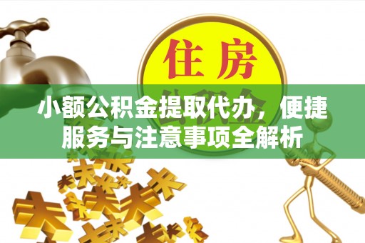 和静小额公积金提取代办，便捷服务与注意事项全解析