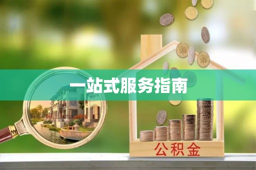 和静一站式服务指南