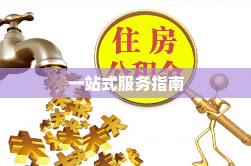 和静一站式服务指南