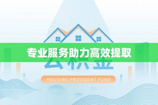 和静专业服务助力高效提取