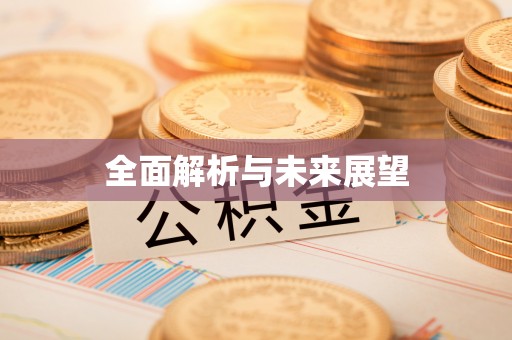 和静全面解析与未来展望