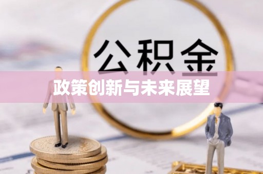 和静政策创新与未来展望