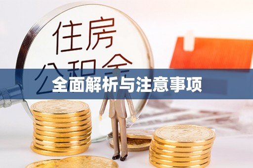 和静全面解析与注意事项