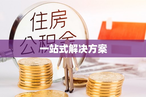 和静一站式解决方案