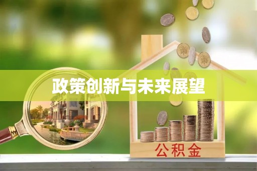 和静政策创新与未来展望